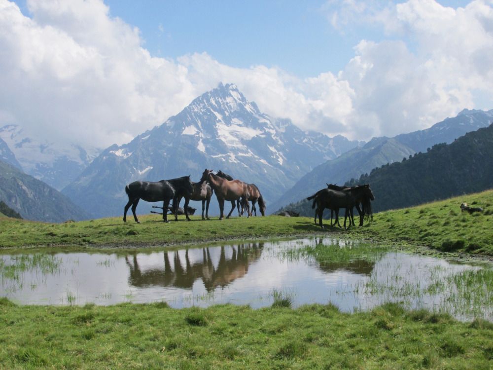 Photograph by Зенина Светлана