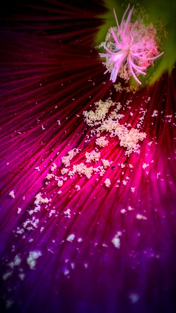 Photograph by Денис Грамович