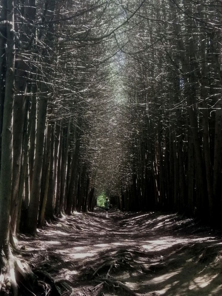 Photograph by Виталий Са