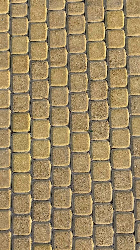 Photograph by Мария Королькова