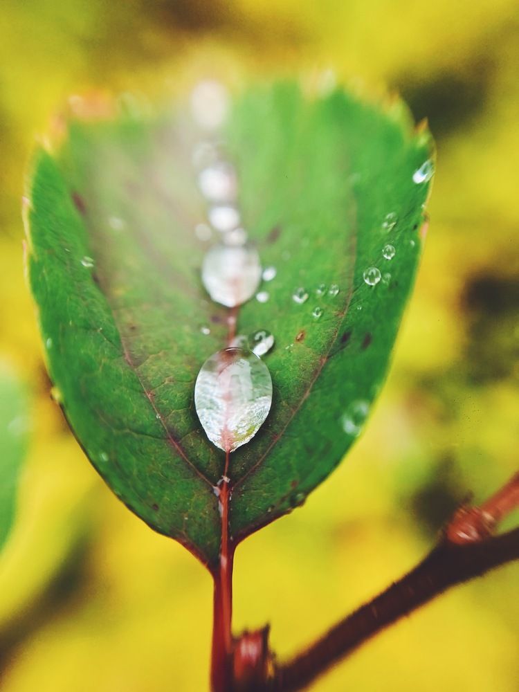 Photograph by Юрий Требухин