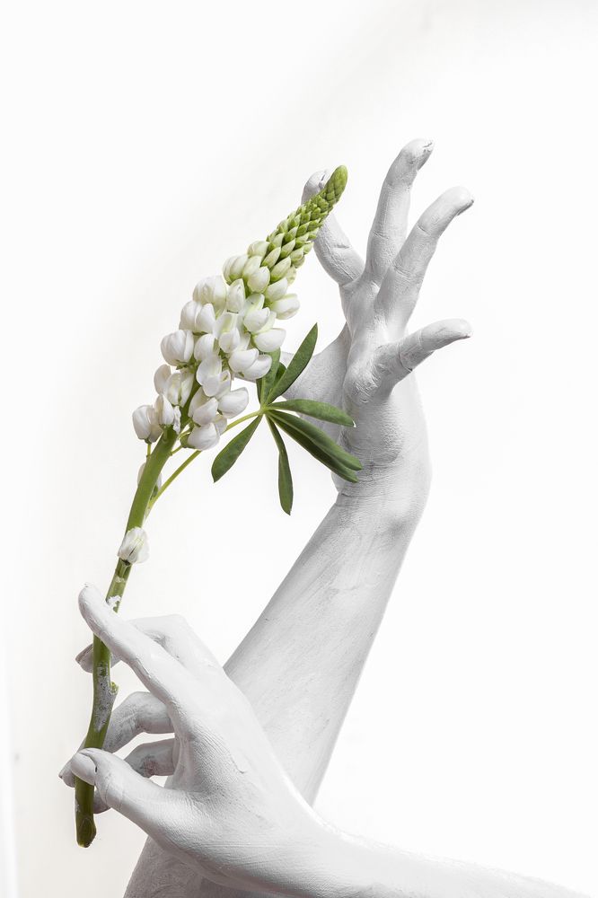 Photograph by Агарков Алексей