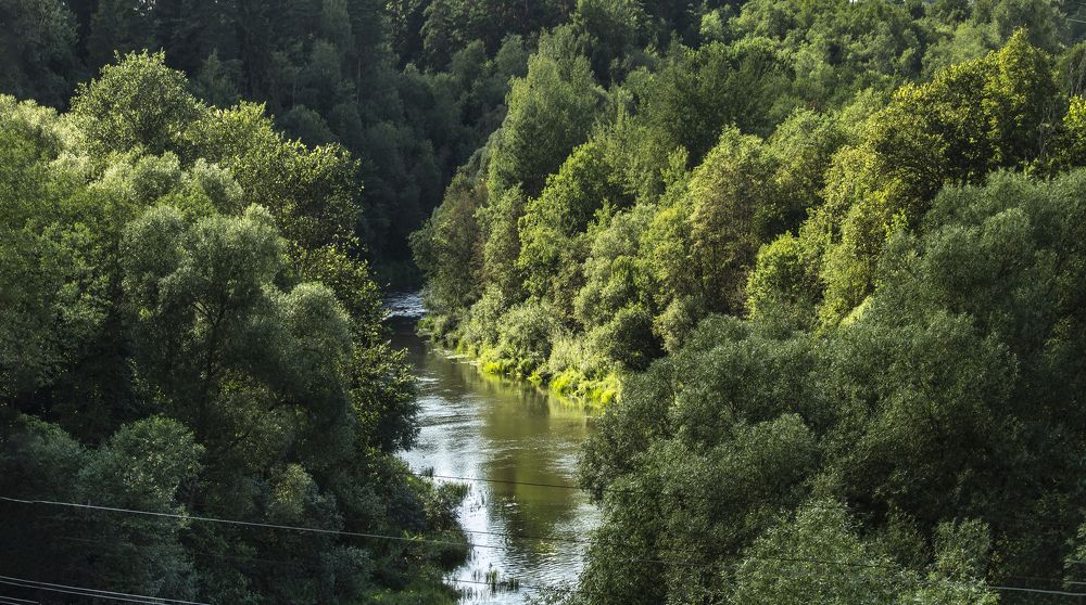 Photograph by Alexandra Chalova