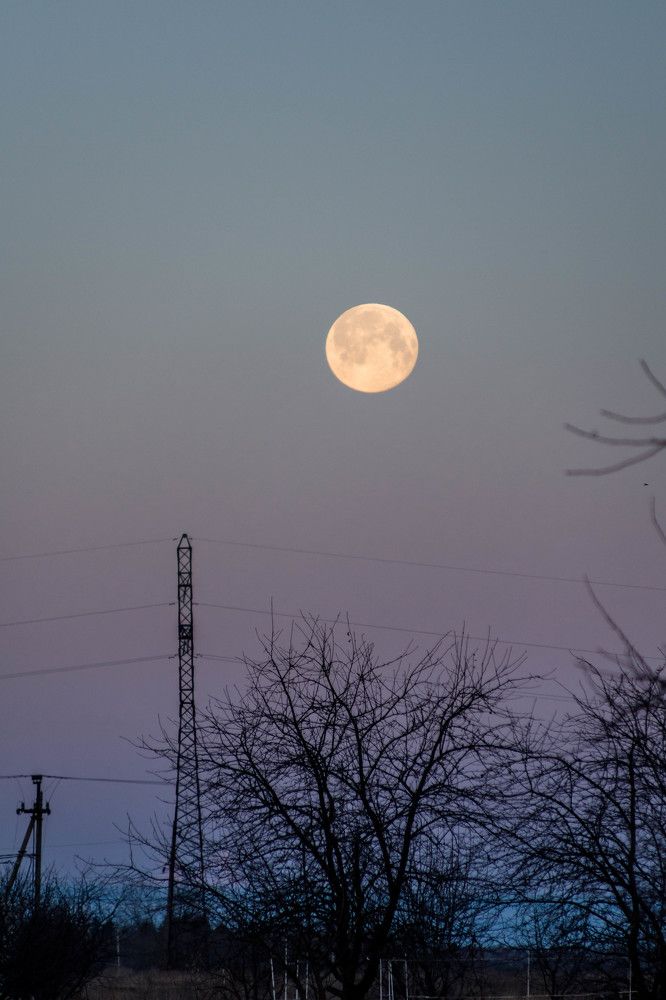 Photograph by Людмила Прибылова