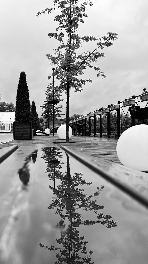 Photograph by Oxana Petlina