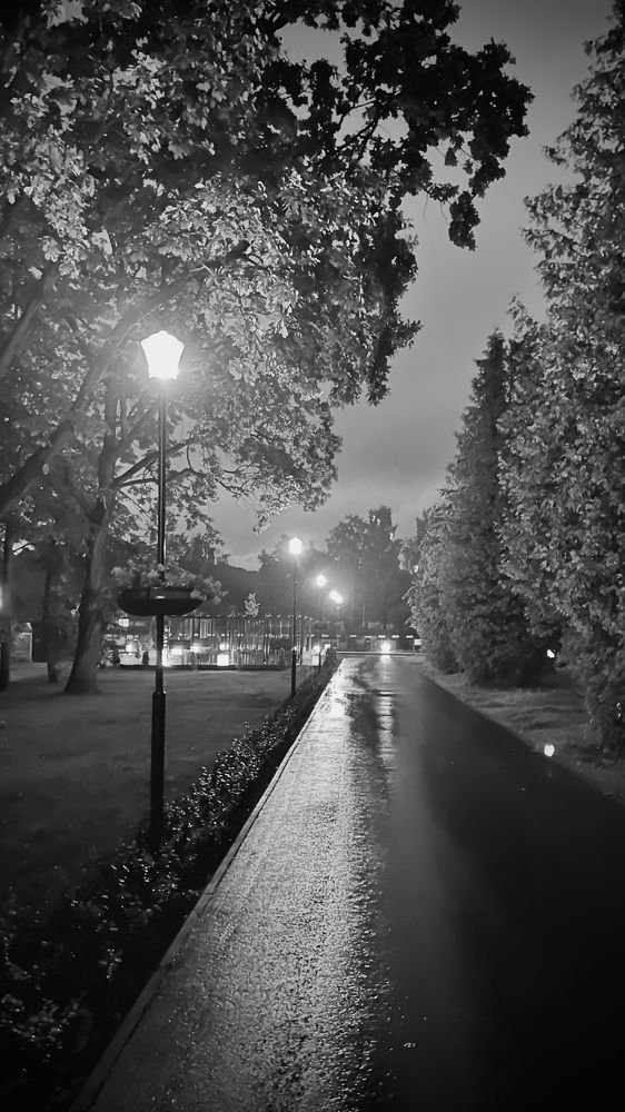 Photograph by Oxana Petlina