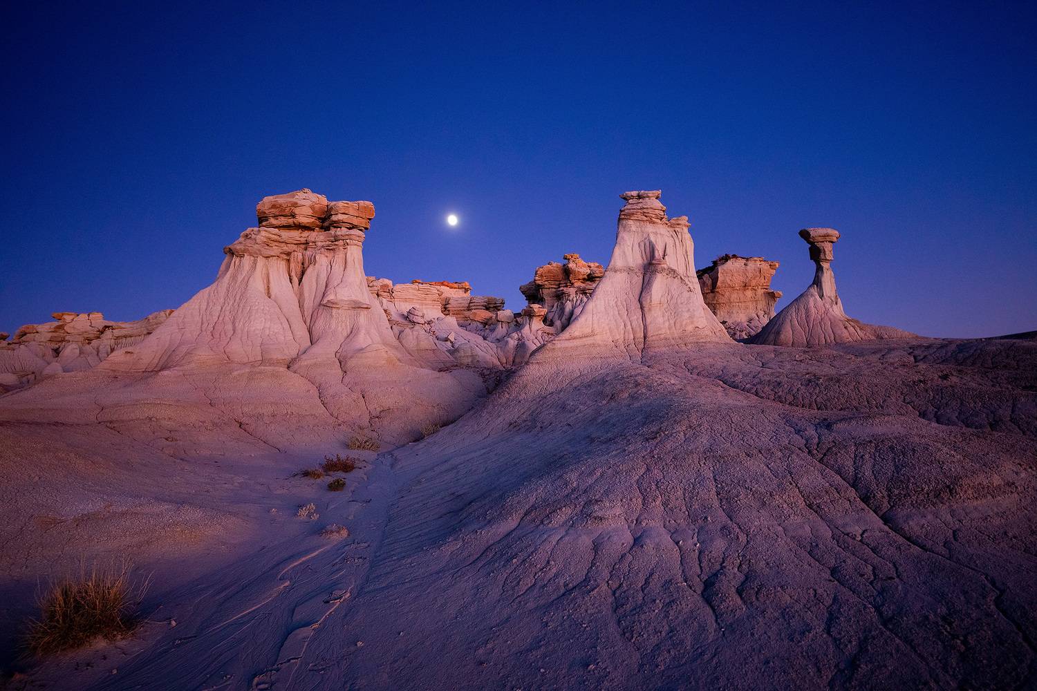 Фотография #9366525