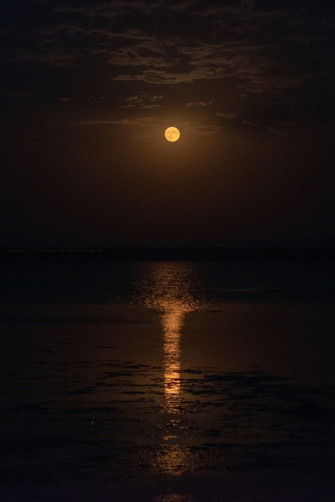 Photograph by Арсен Алабердов