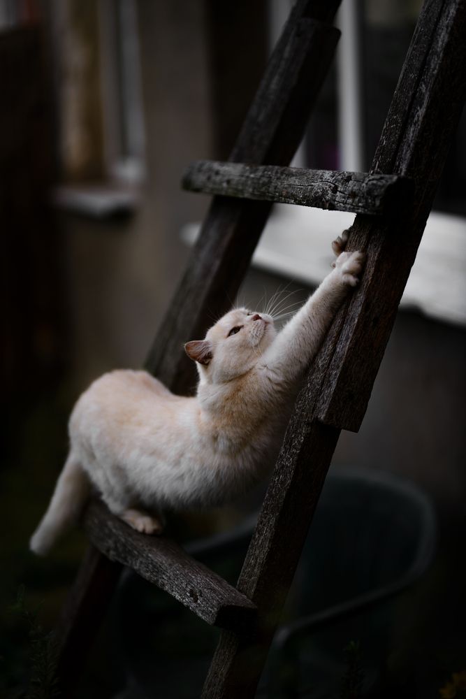 Photograph by Юлия Полянцева