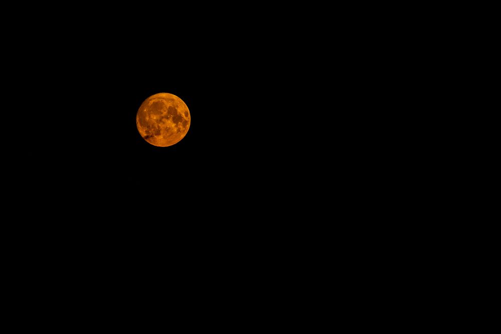 Photograph by Алеся Пчёлкина