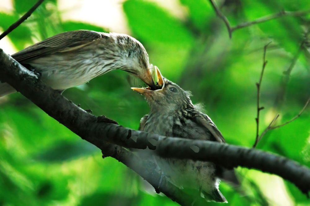 Photograph by Chris Brain