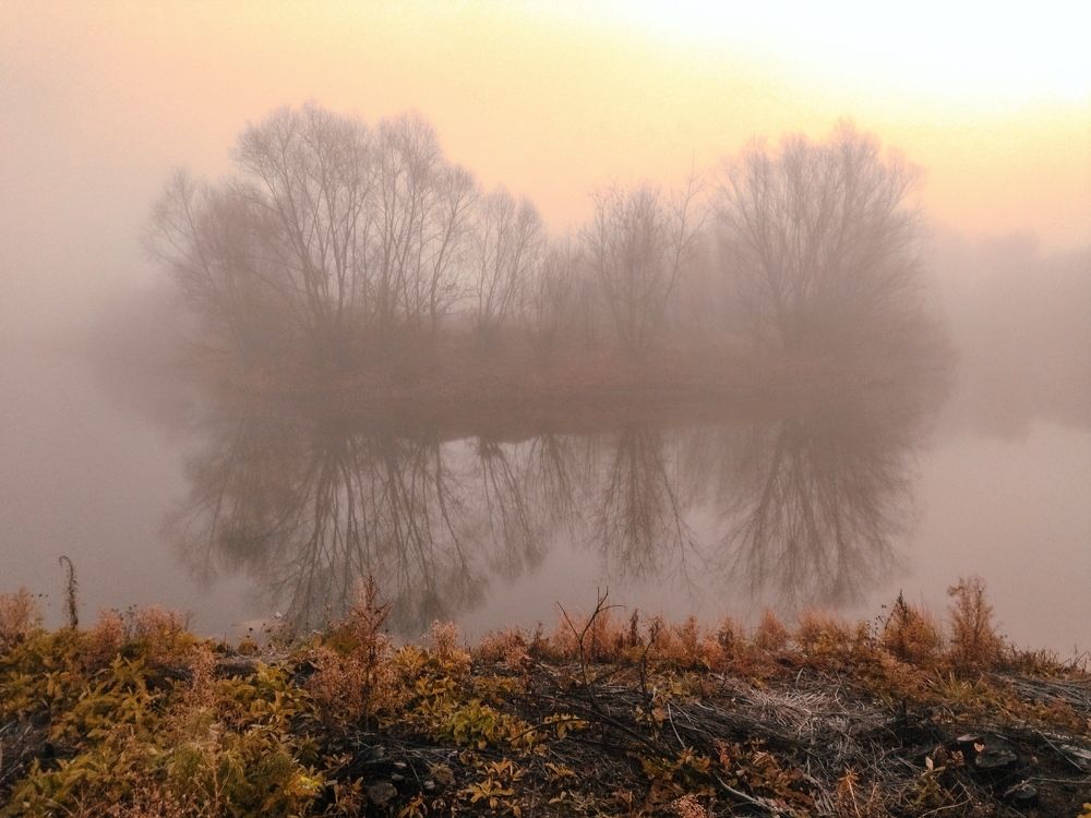 Photograph by Людмила Прибылова