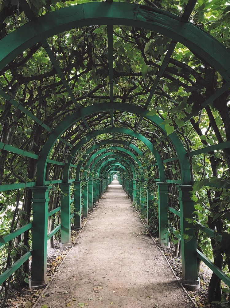 Photograph by Виктория Селютина