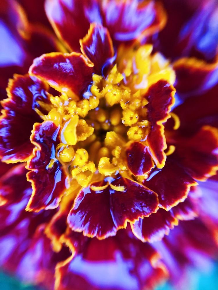 Photograph by Юрий Требухин