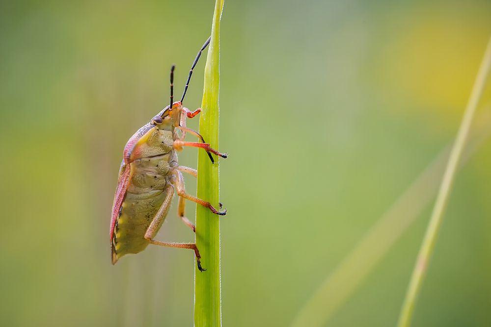 Photograph by Юрий Яковлевич