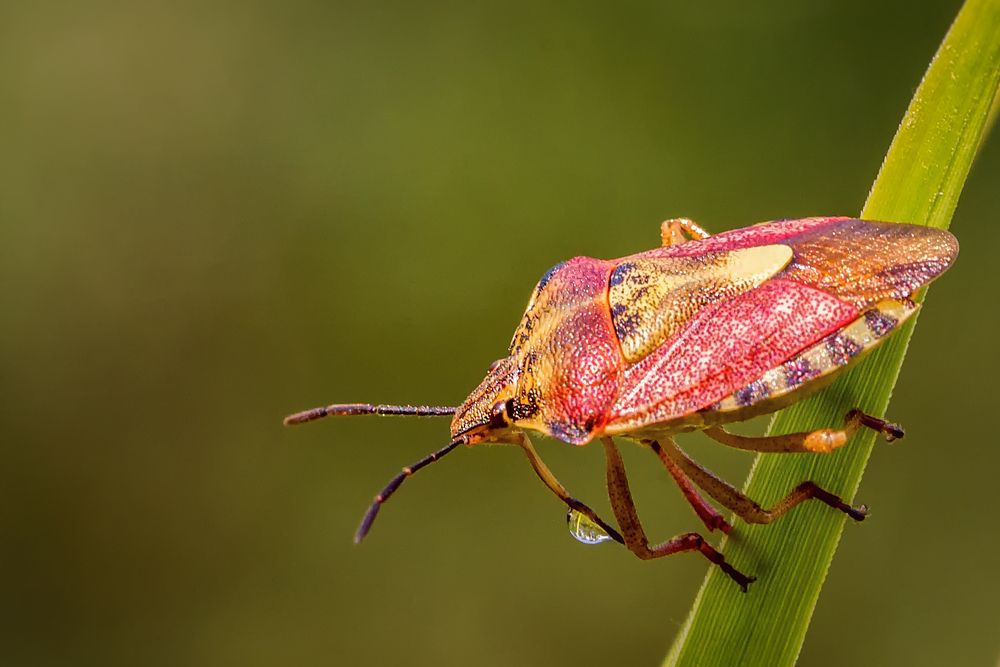 Photograph by Юрий Яковлевич