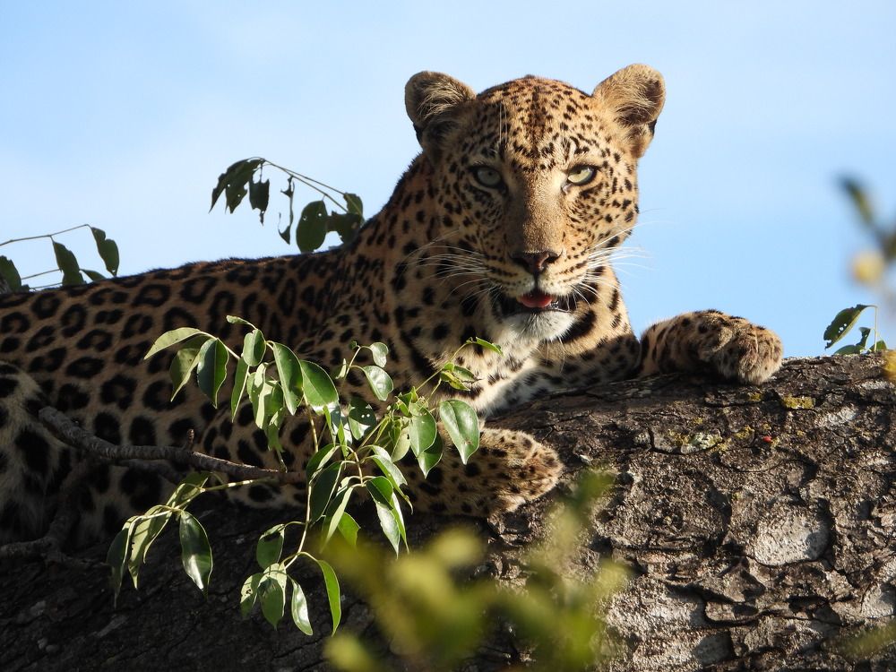 Photograph by Sandra Peña