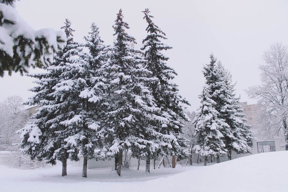 Photograph by Элиза