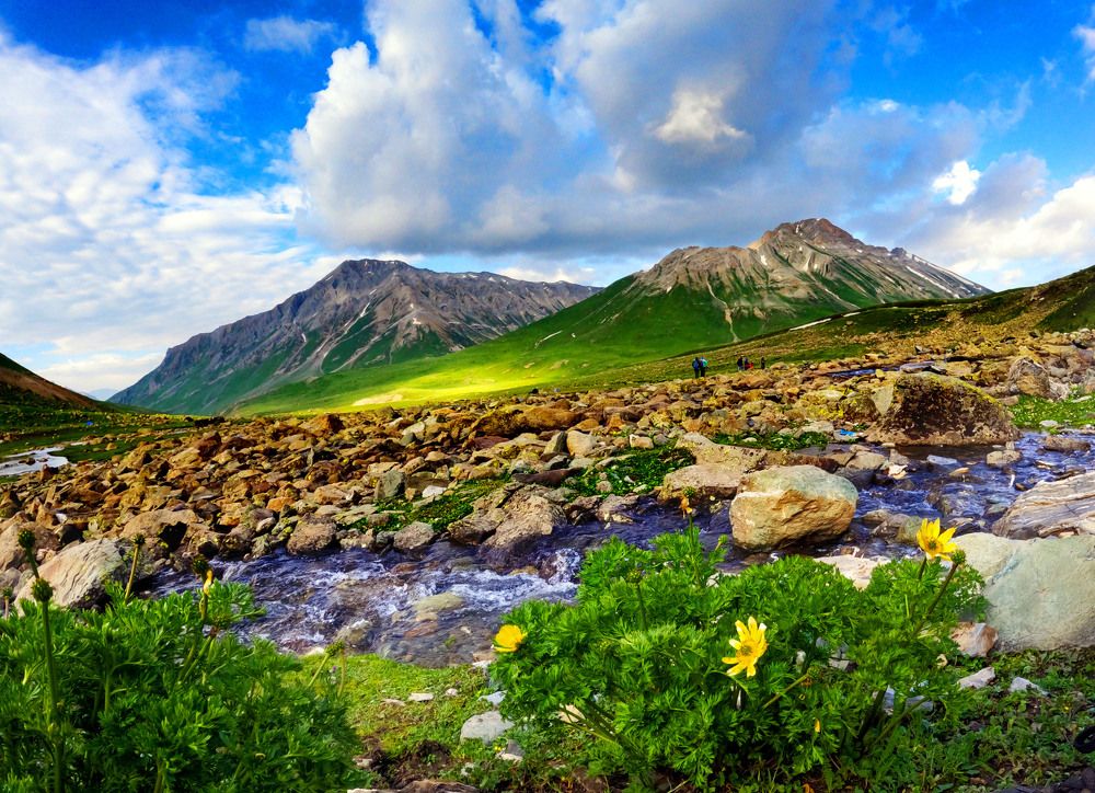 Фотография автора RAJIB DEB