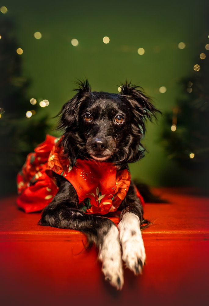 Photograph by Diego Weisser