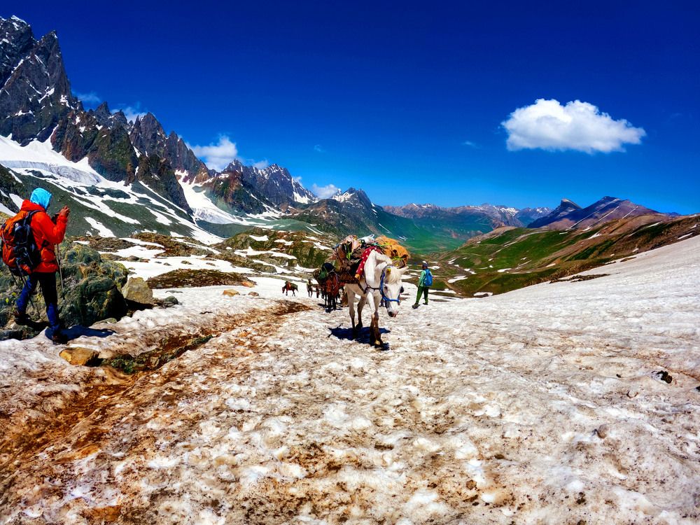 Фотография автора RAJIB DEB