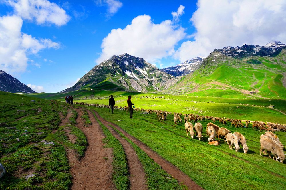 Фотография автора RAJIB DEB