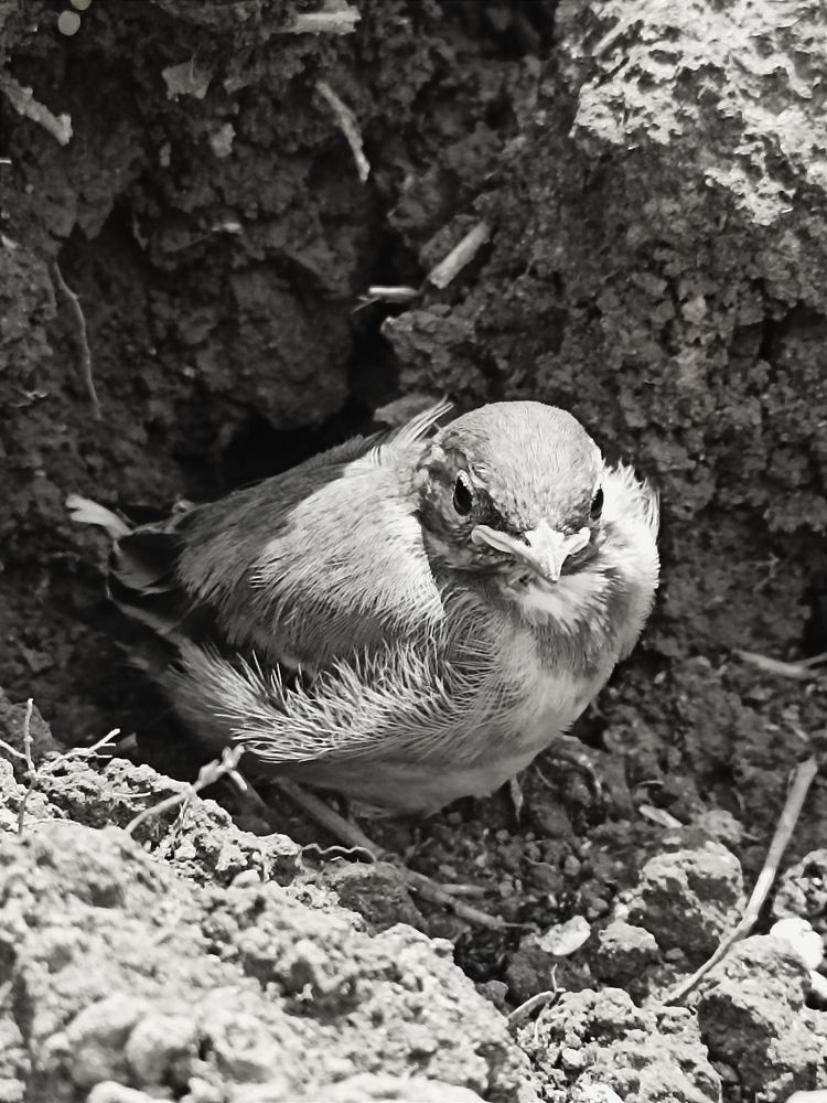 Photograph by Анна Виноградова