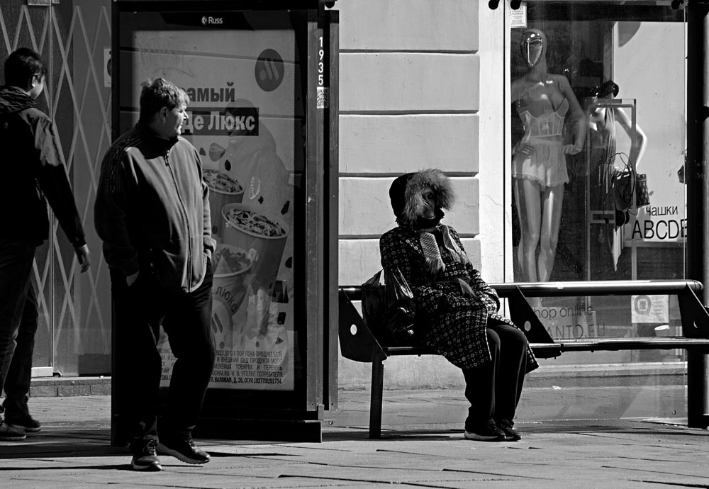 Фотография автора Глеб Рубашкин