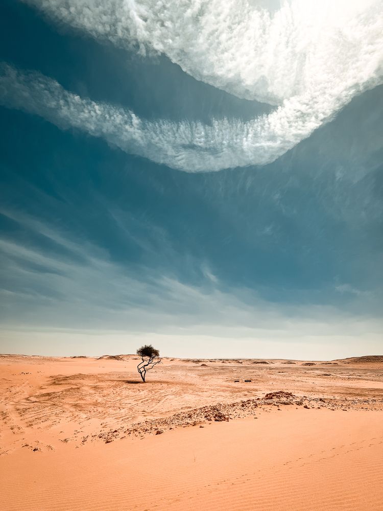 Photograph by Babitha Baby