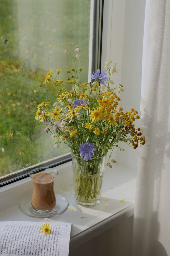 Photograph by Елена Лебедева