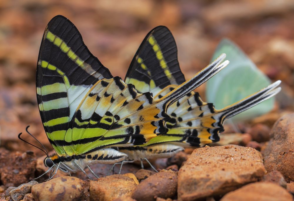Photograph by Souvick Mukherjee
