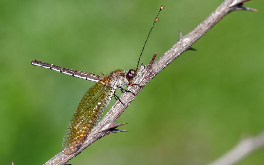Photograph by Souvick Mukherjee