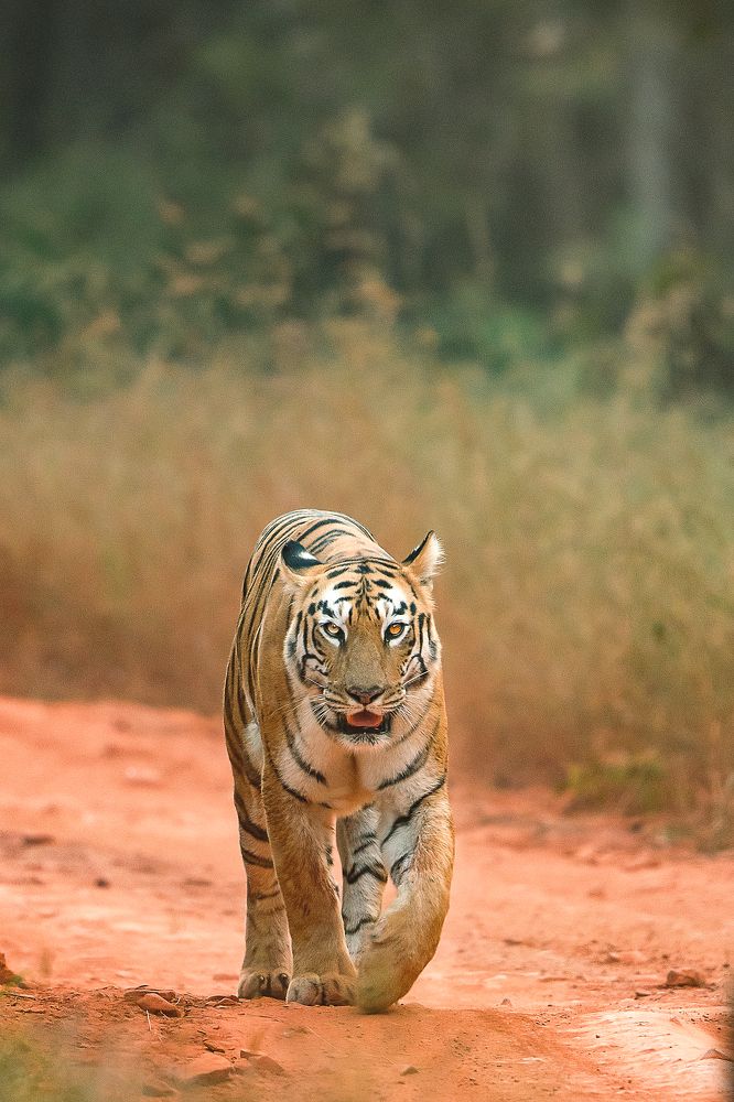 Photograph by Gade Neeraj