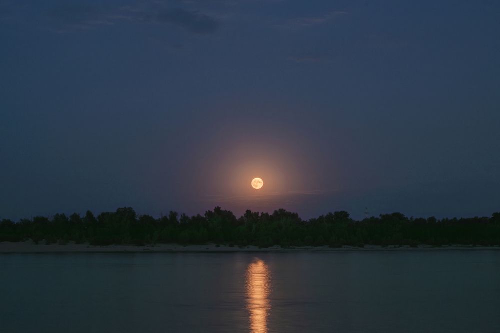 Фотография автора Дмитрий