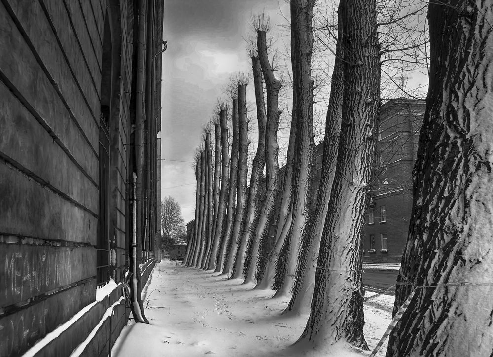 Photograph by Борис Кравецкий