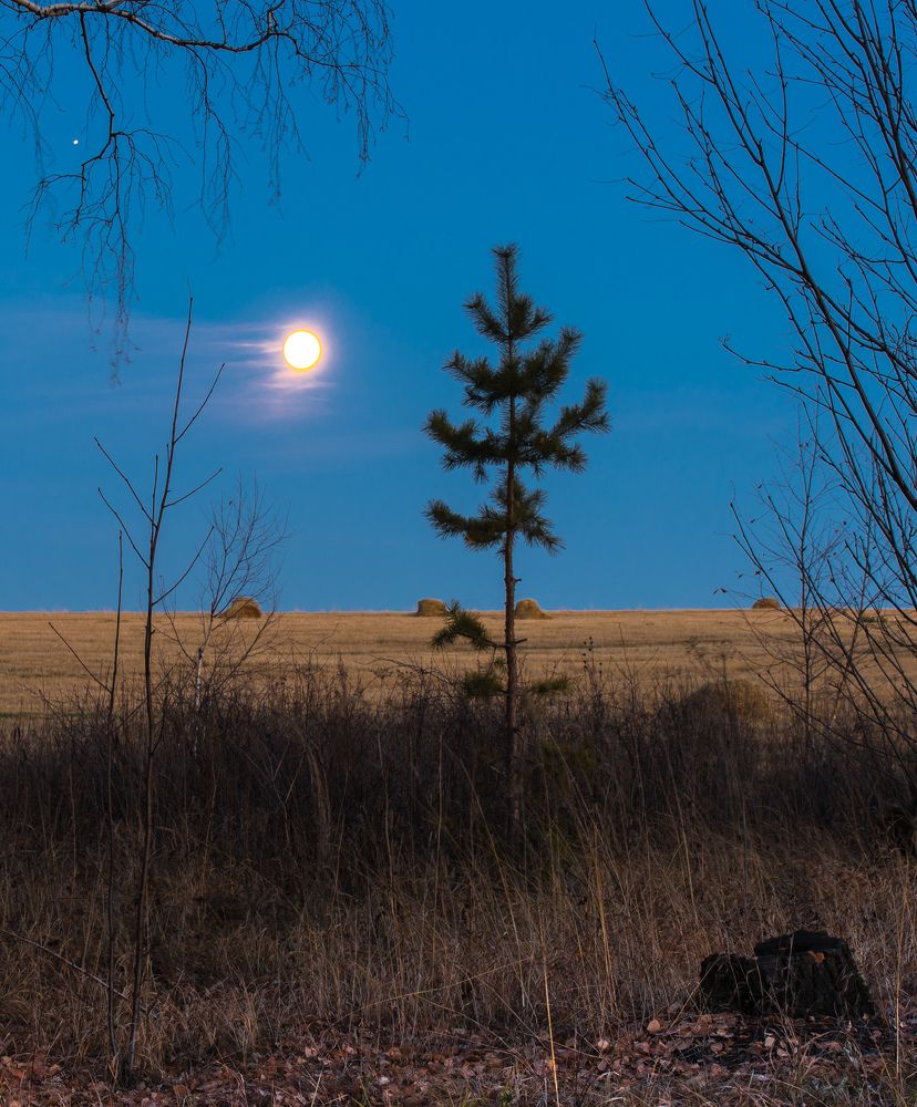 Фотография автора Павел Ступак