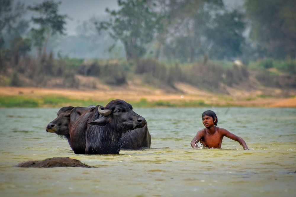 Photograph by Souradip Dey