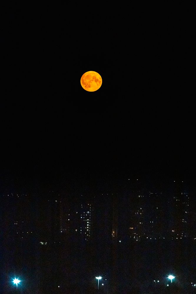 Photograph by Корчагина Оксана