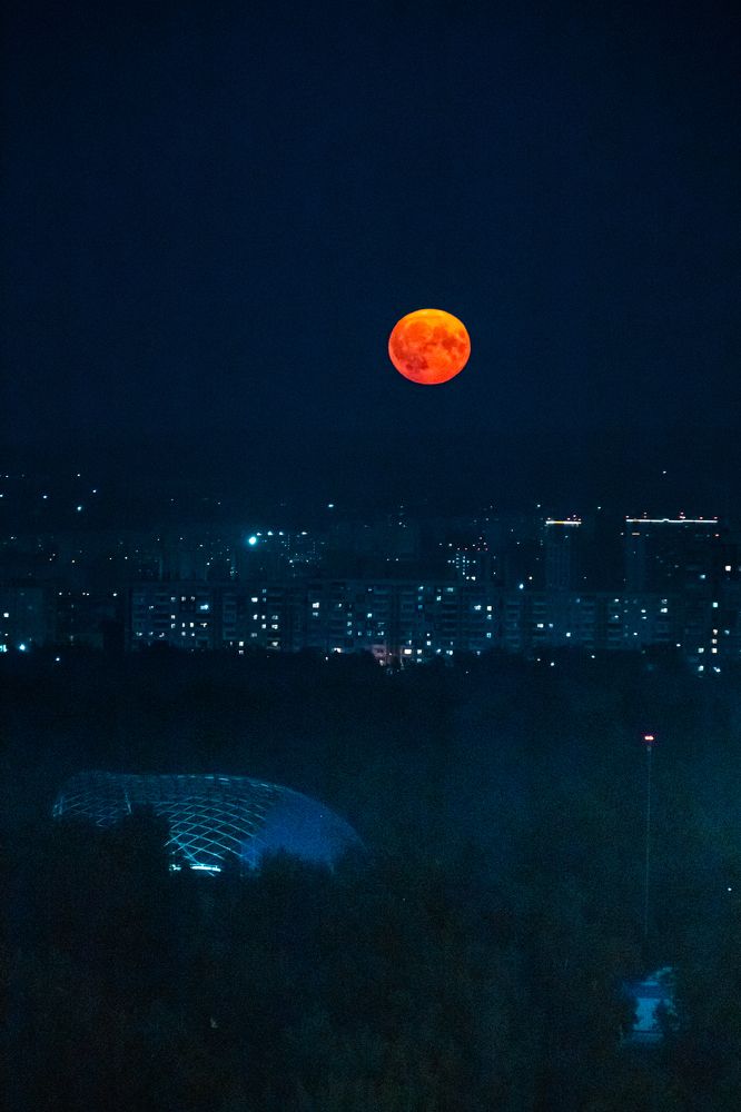 Photograph by Корчагина Оксана