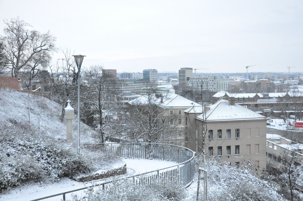 Photograph by Галина Лысых