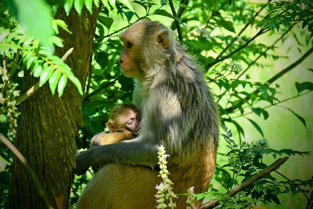Photograph by Nirup Datta