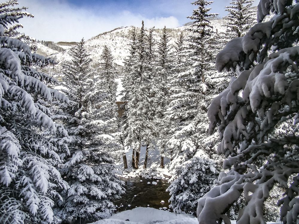 Photograph by Silvia Marcos