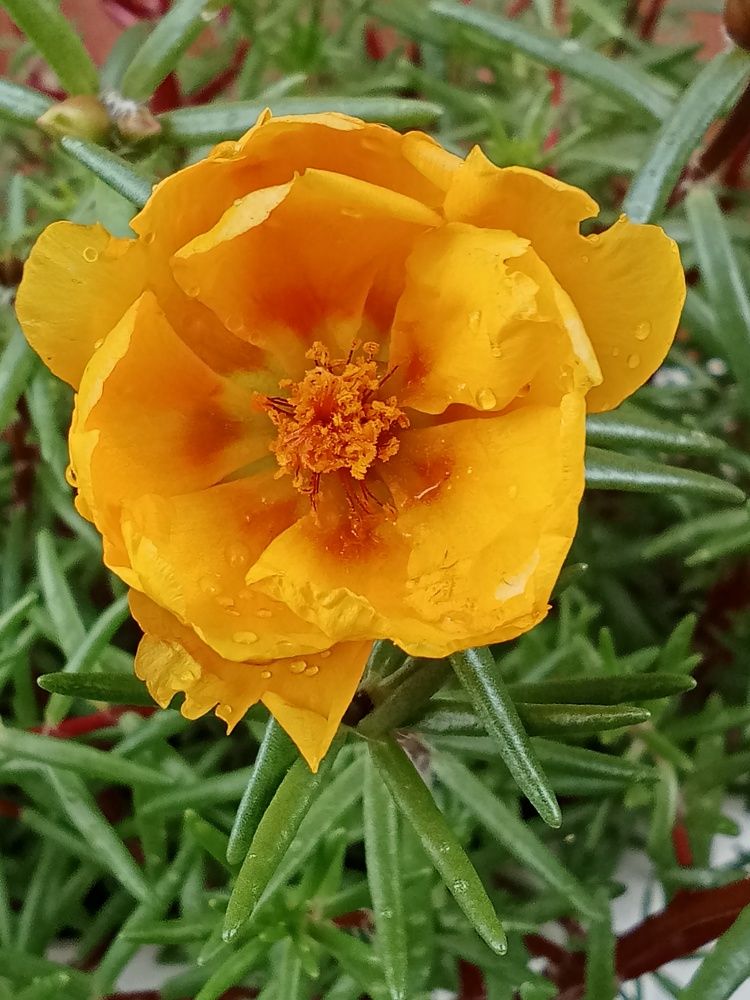 Photograph by Надежда Рулькова