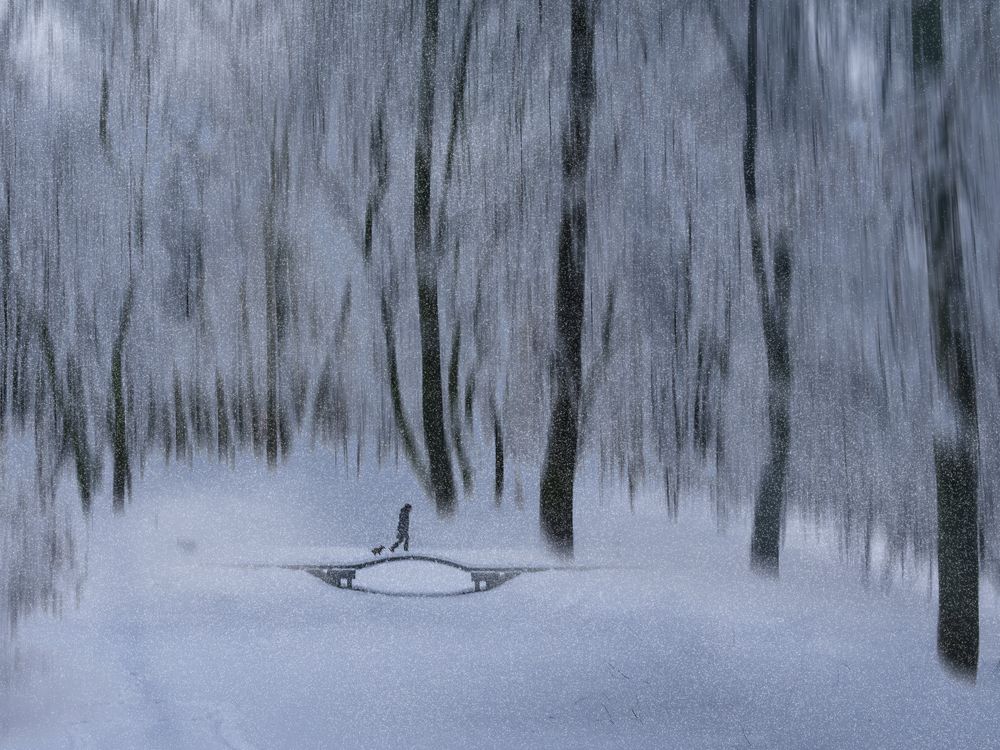 Photograph by T. Bondarenko