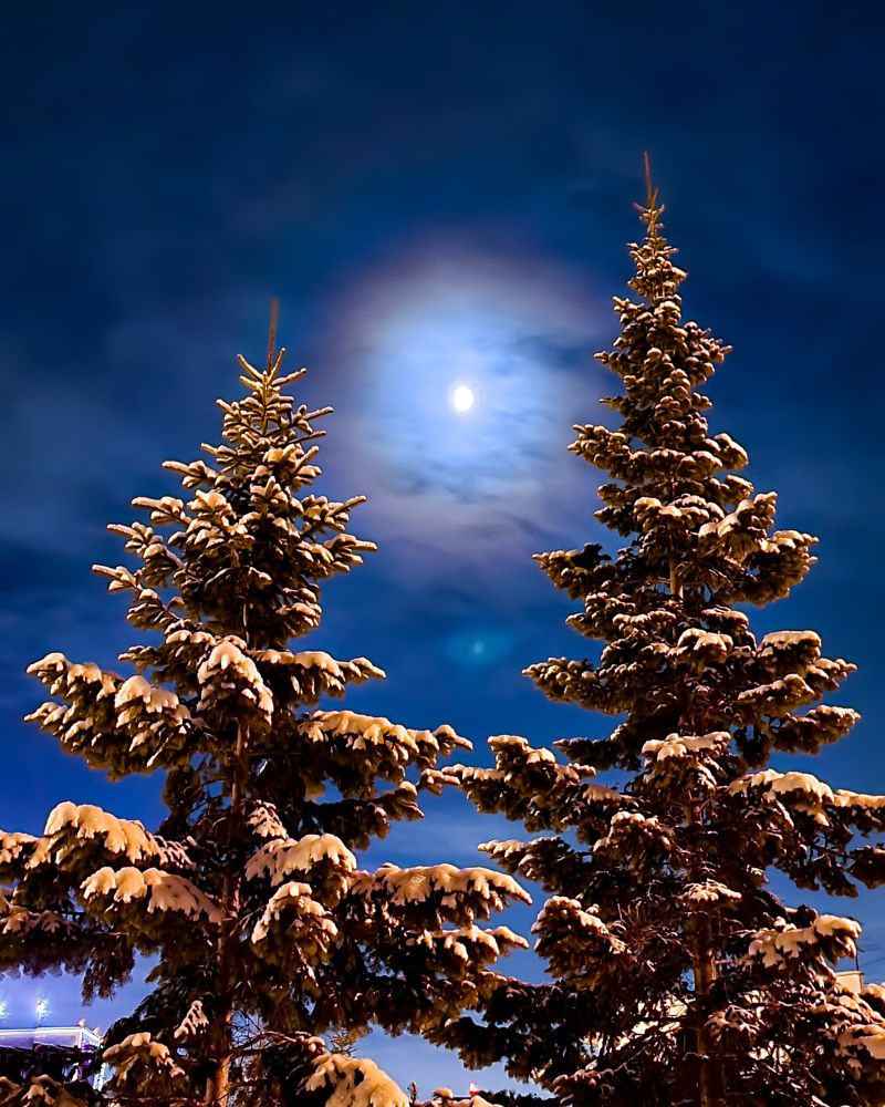 Photograph by Сергей Кесаев