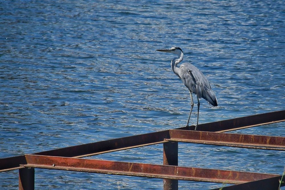 Photograph by Екатерина Игоревна