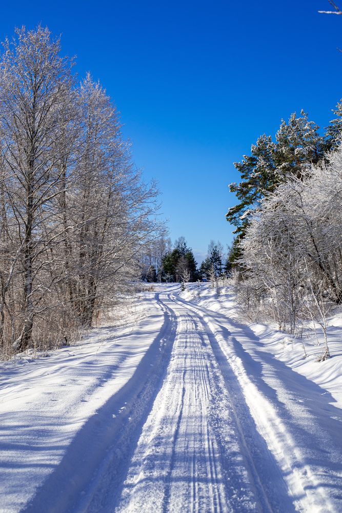 Photograph by Наталья