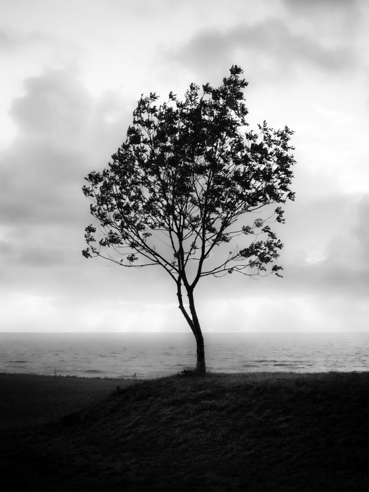 Photograph by Роман Суковач