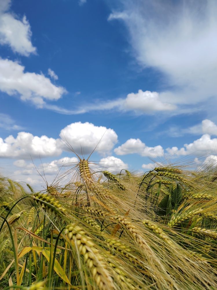Photograph by Анастасия Проскурнова