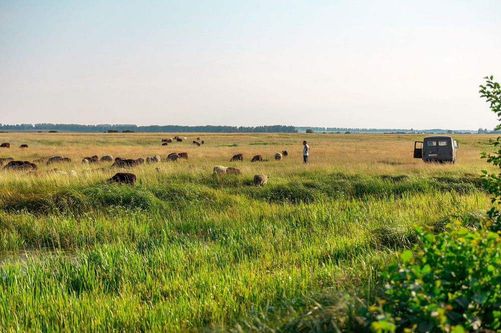 Photograph by Андрей Трубачев
